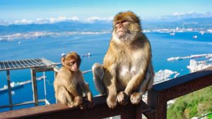Banderas británica y gibraltareña ondeando en Gibraltar